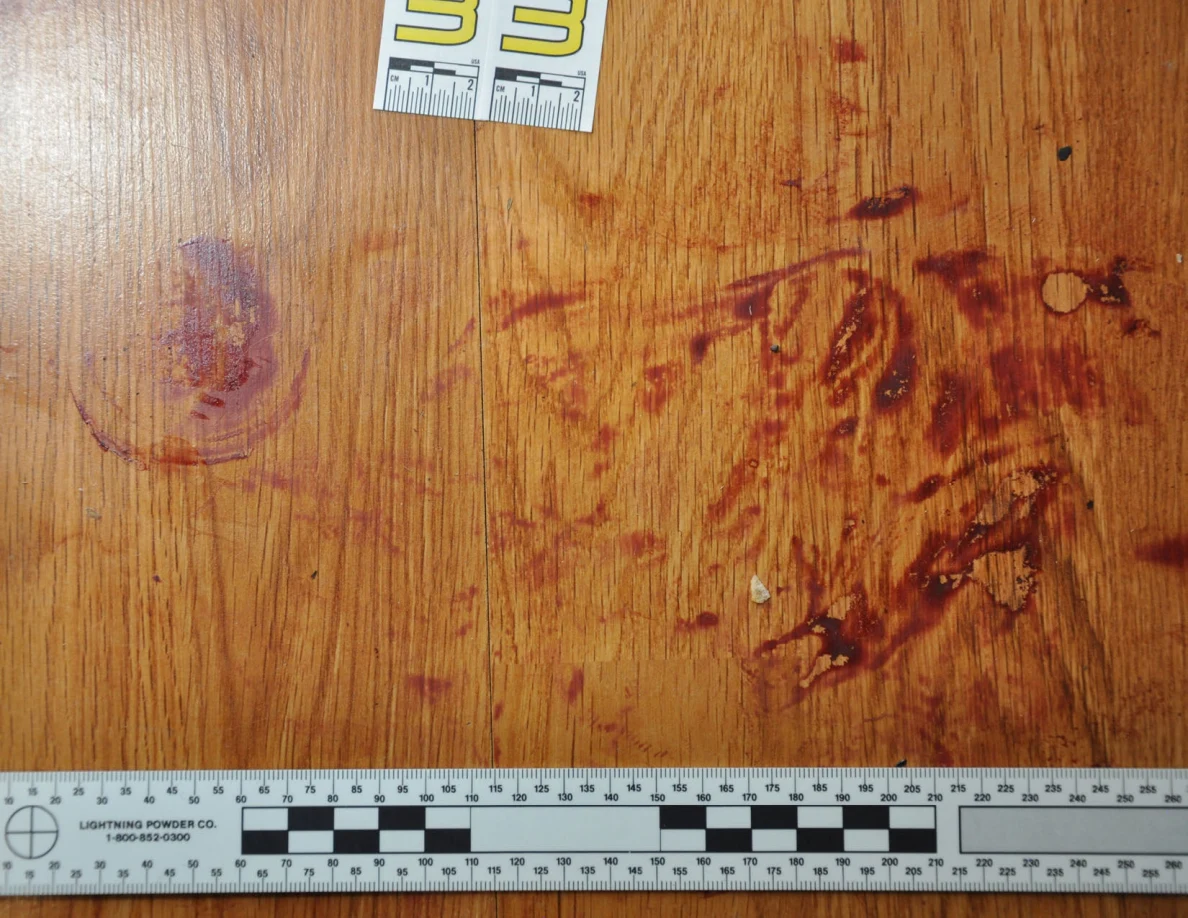 Reddish circular and smeared floor marks framed by measuring rulers beside scale label 33.