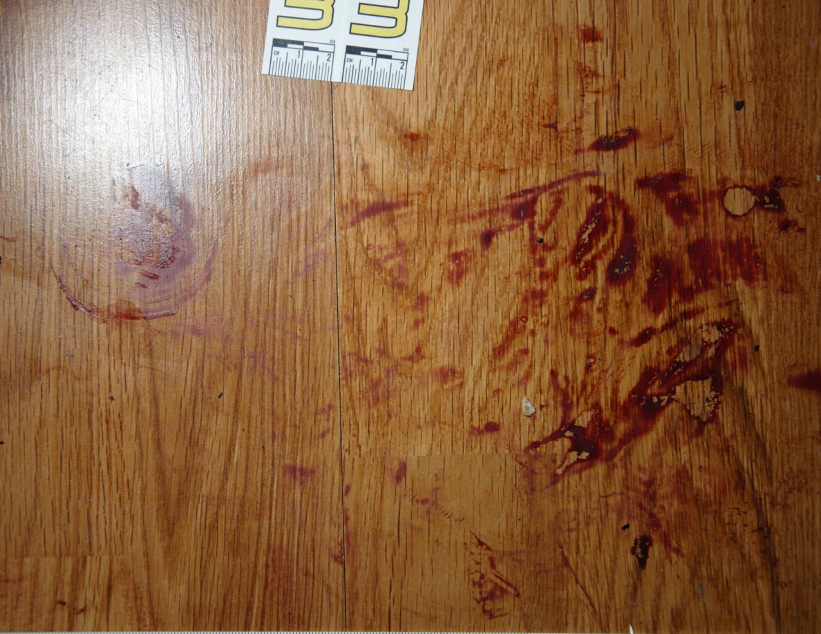 Reddish circular and smeared floor marks beside scale label 33.