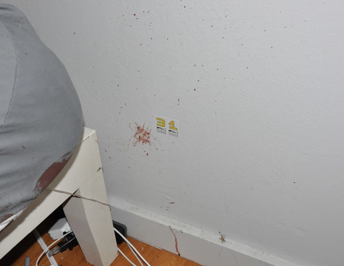 Scale label 31 beside reddish wall marks near a bed.