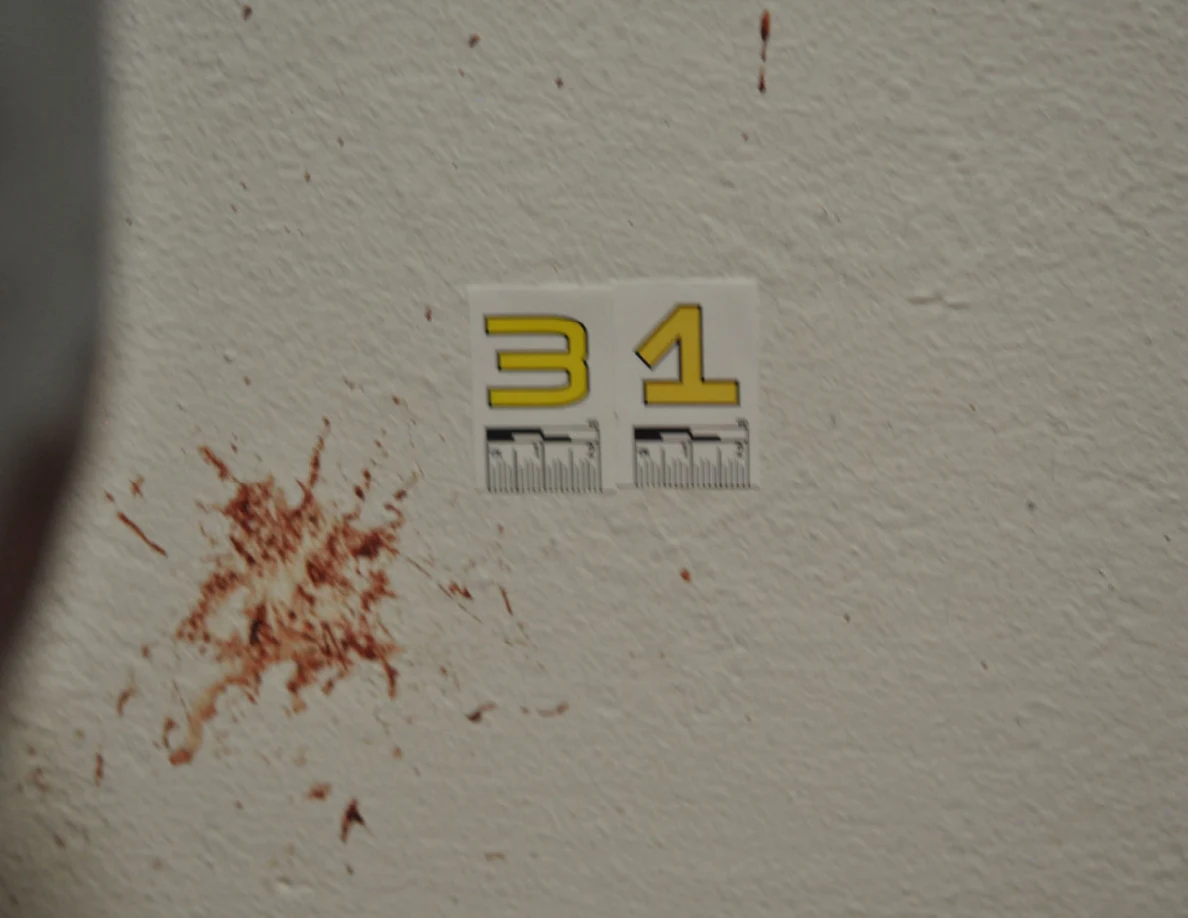 Close view of reddish wall marks beside scale label 31.