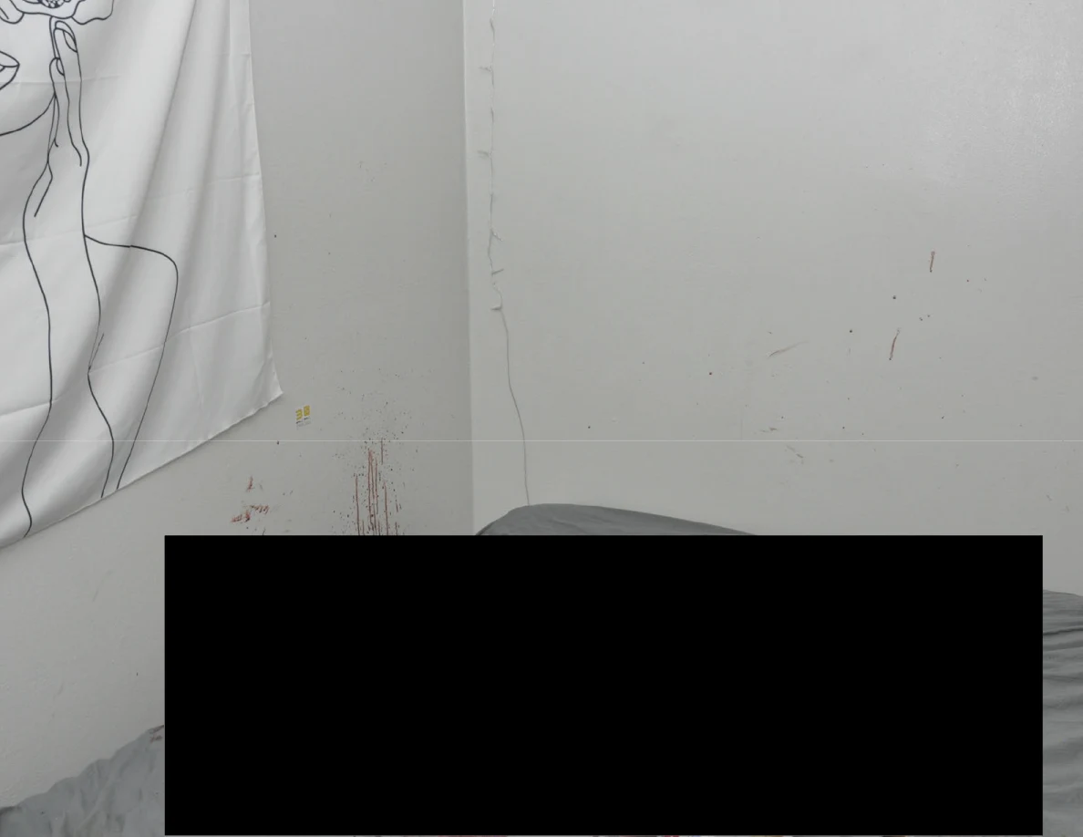 Reddish wall marks beneath a floral hanging above a partly redacted bed.