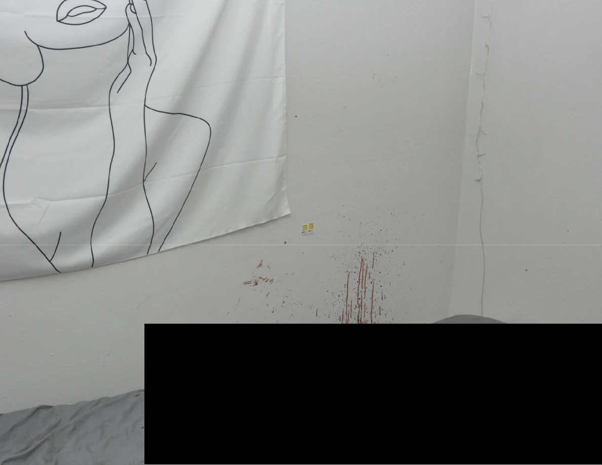Reddish streaks on a wall beneath a line-art hanging above redacted bedding.