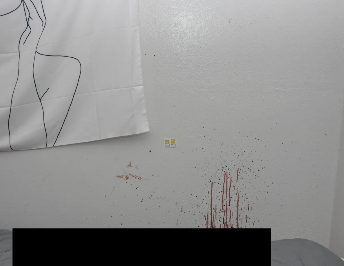 Wall spots and vertical reddish streaks beneath a line-art hanging.