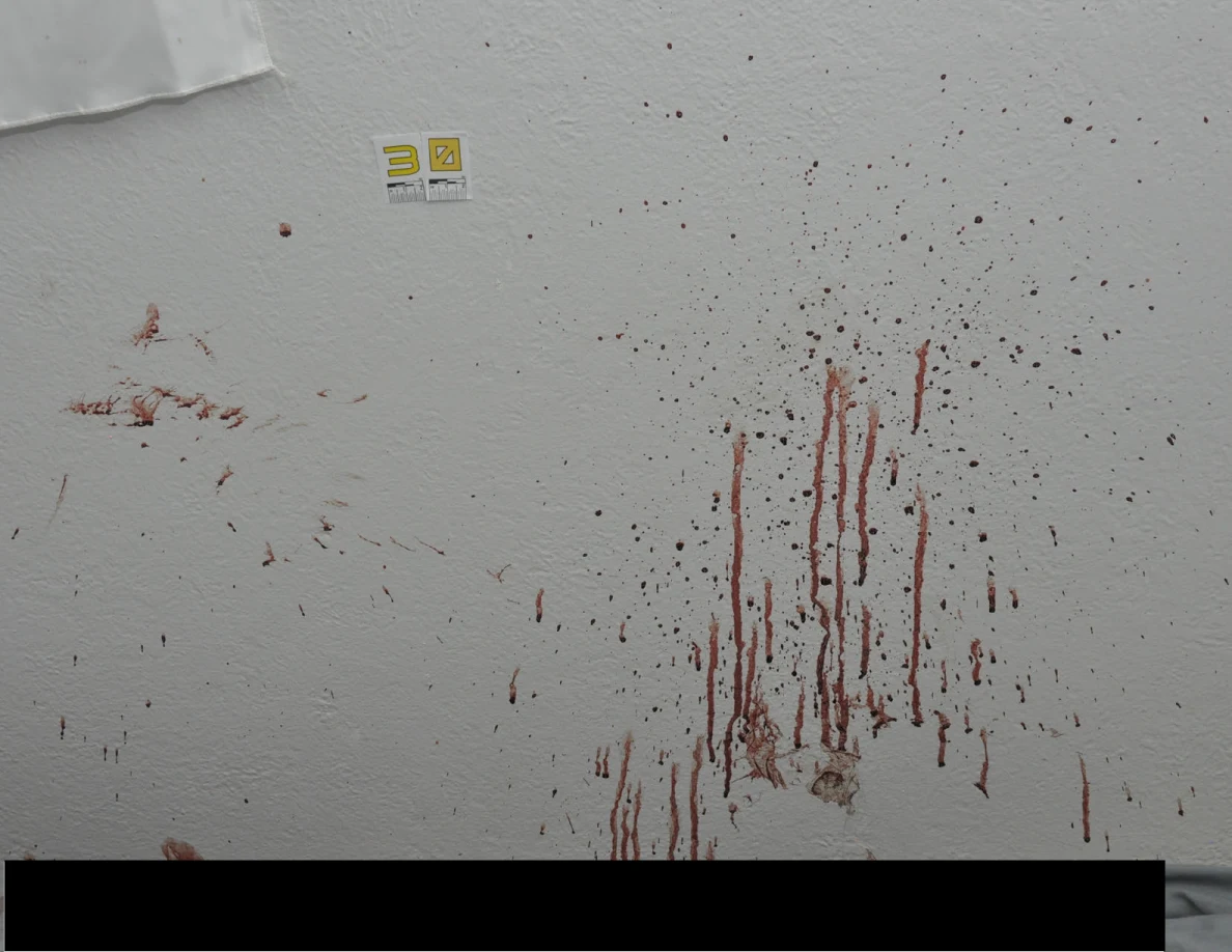 Reddish wall spots and vertical streaks beside scale label 30.