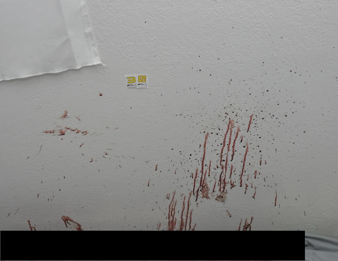 Reddish wall spots and vertical streaks beside scale label 30.