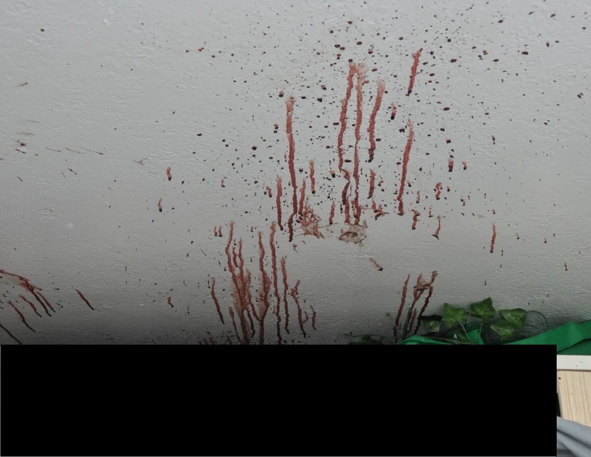 Close view of vertical reddish wall streaks above a black redaction.