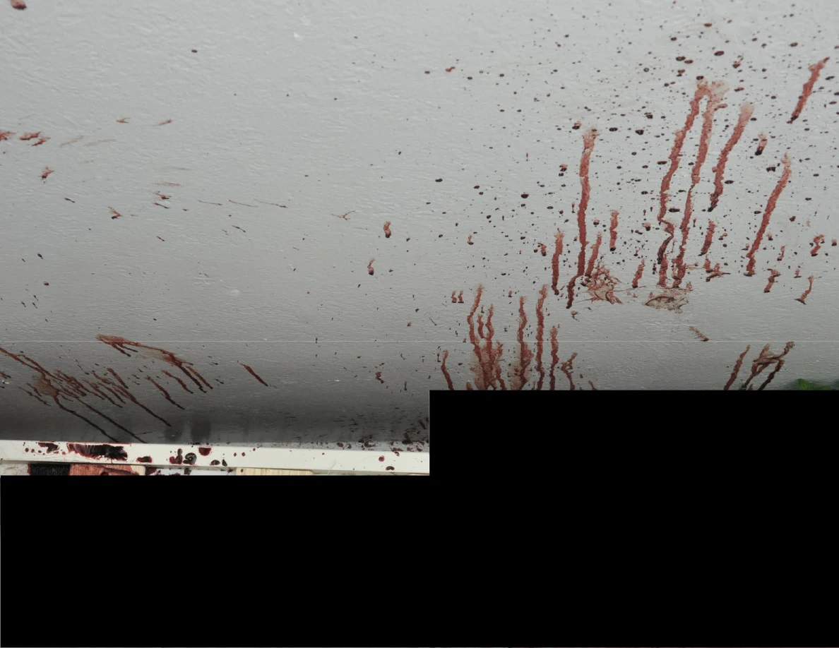 Reddish wall streaks above a bed rail and large black redactions.