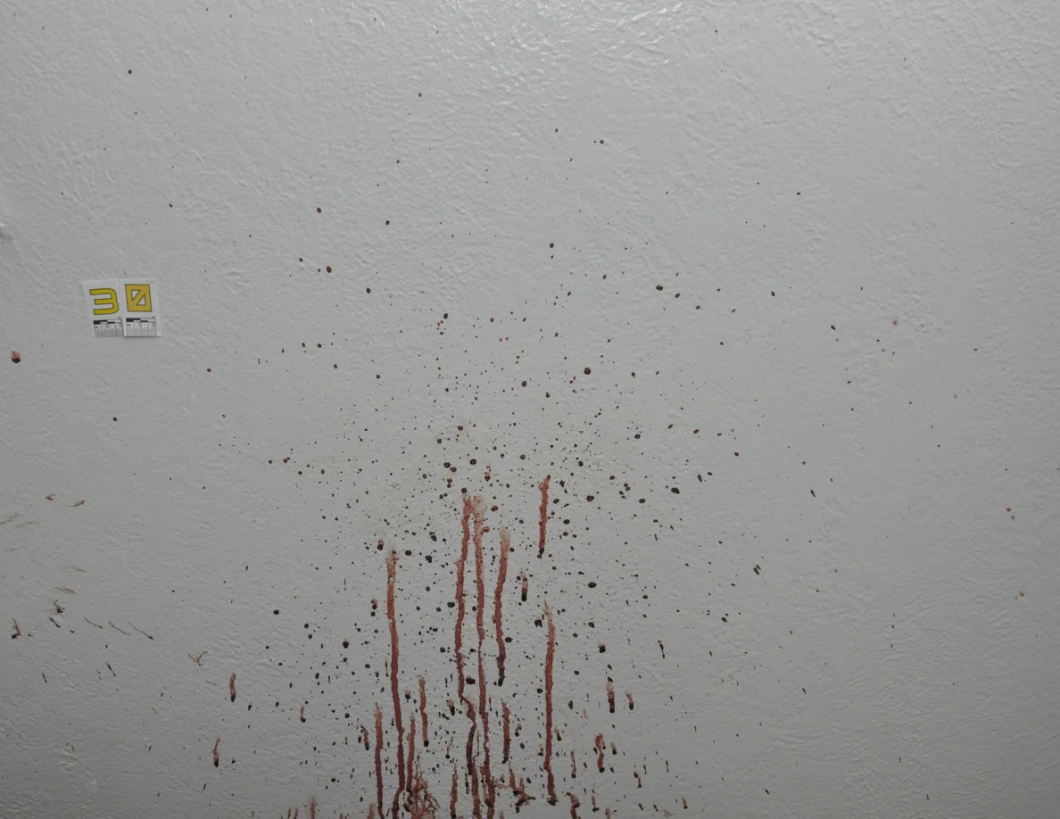 Reddish wall spots and vertical streaks beside scale label 30.
