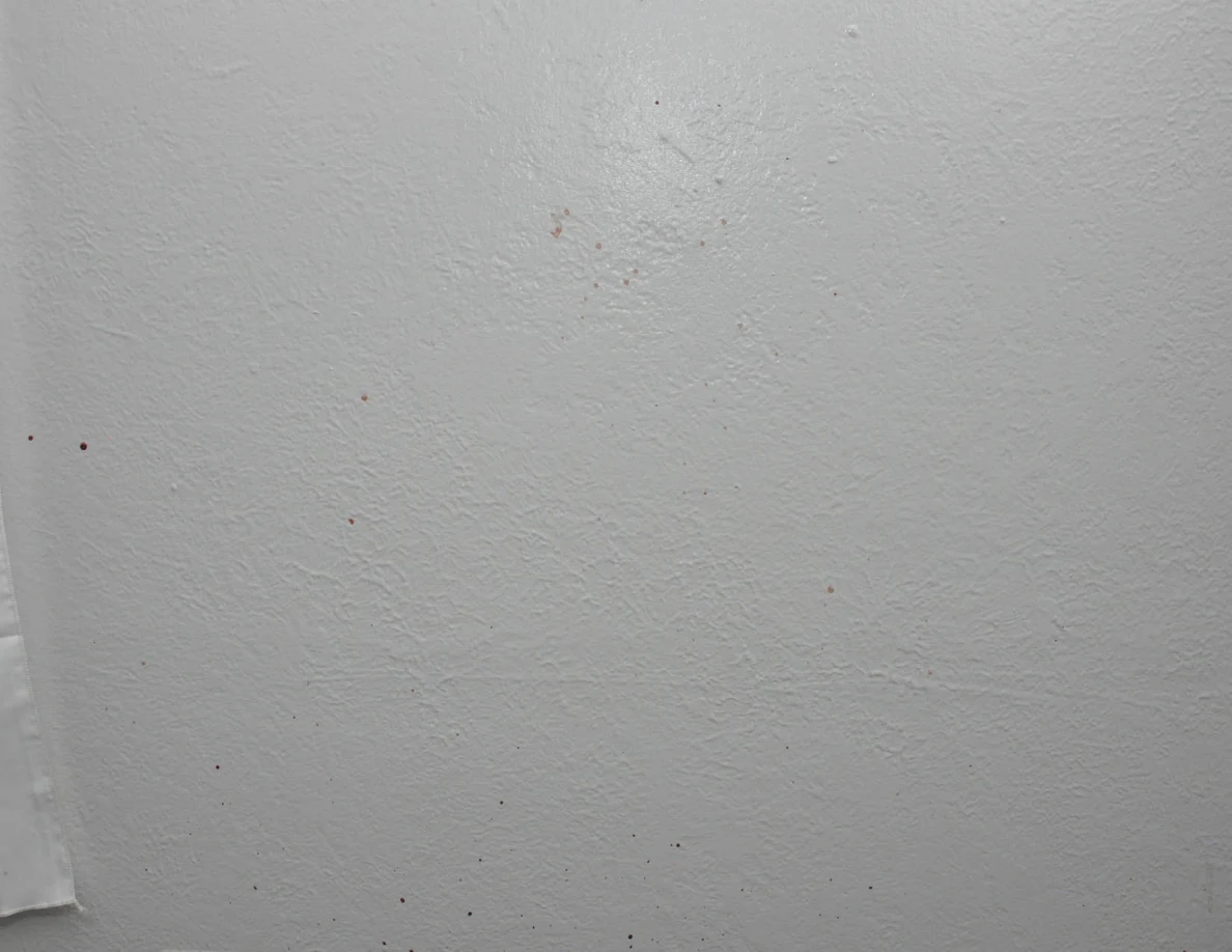 Close view of sparse reddish spots on a white wall.