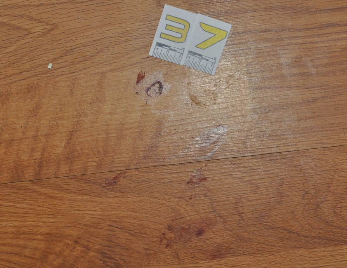 Close view of reddish floor marks beside scale label 37.