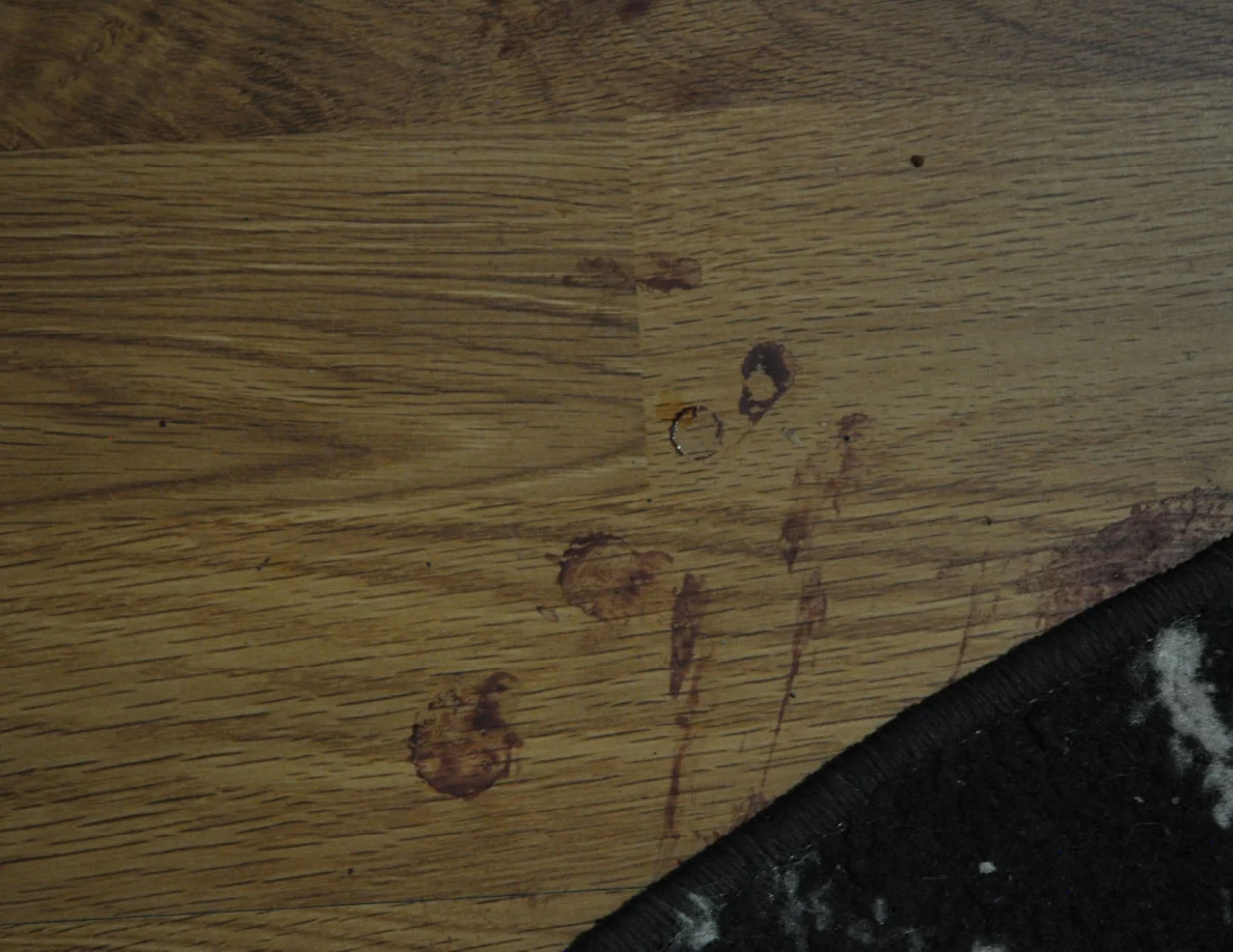 Dim reddish floor marks at the edge of a patterned rug.