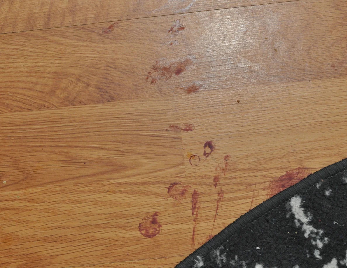 Close view of reddish floor marks near a patterned rug edge.