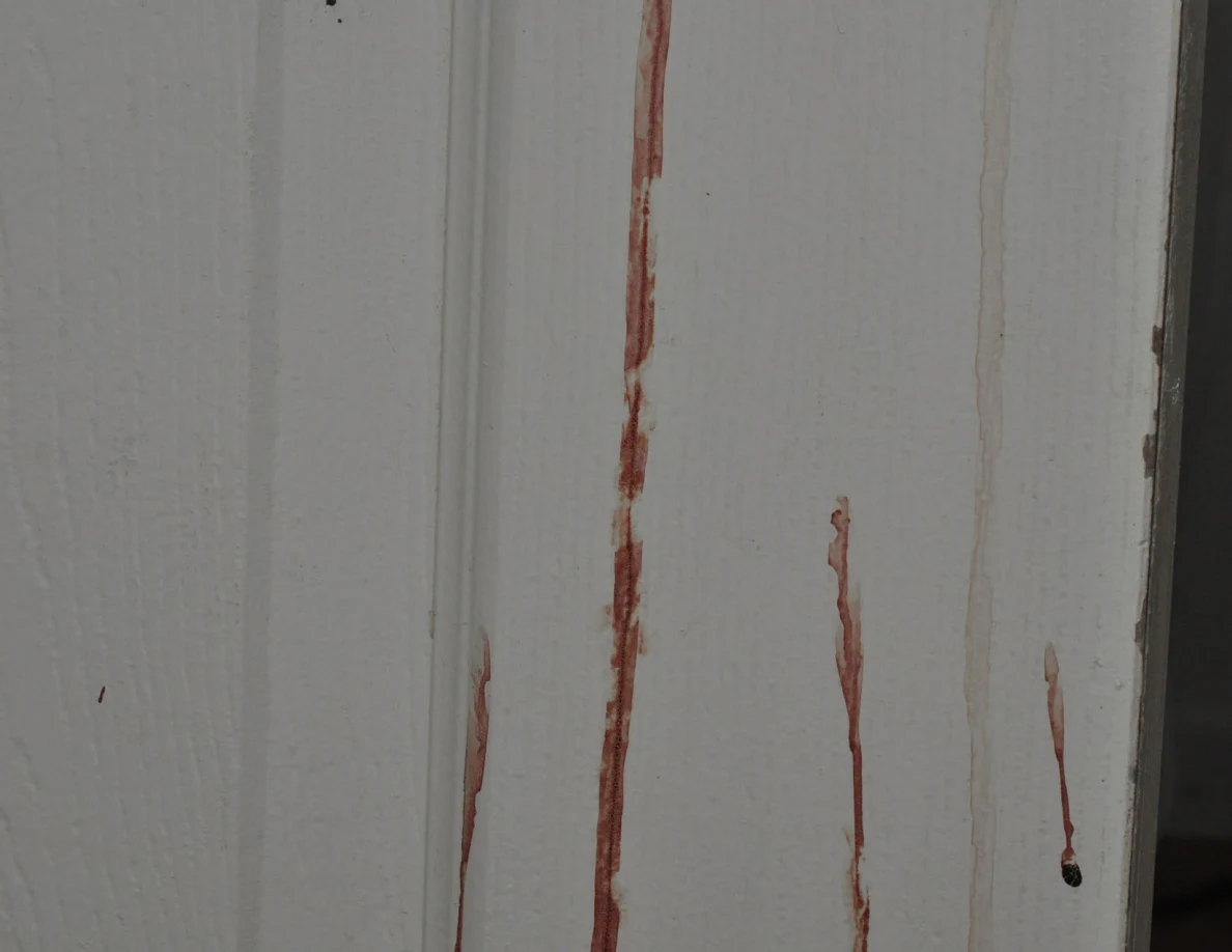 Close view of vertical reddish streaks on a white paneled door.