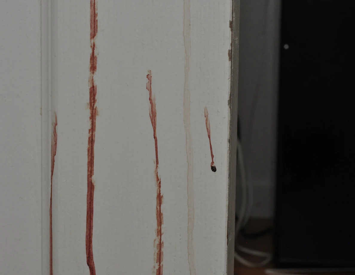 Close view of vertical reddish streaks on a white paneled door.