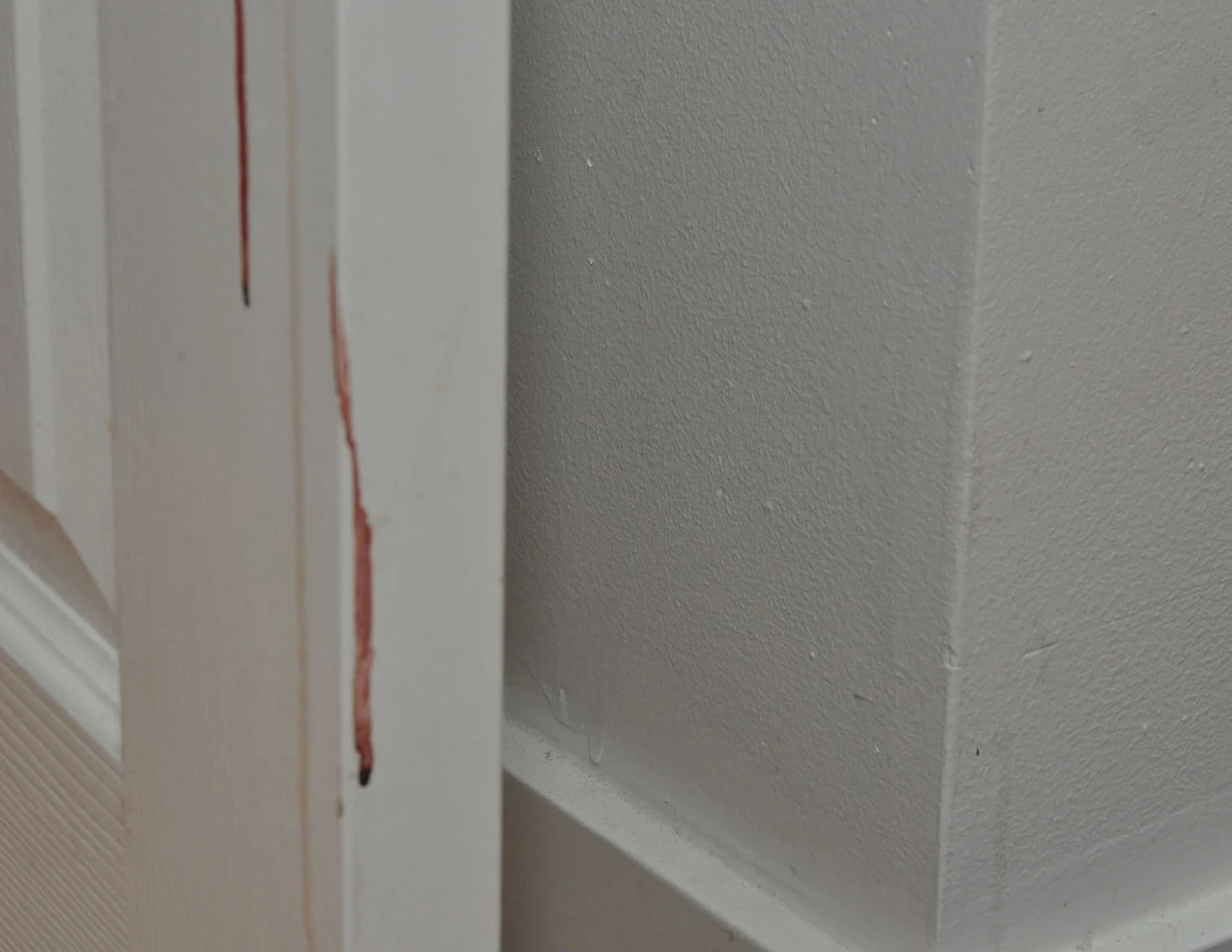 Close view of vertical reddish streaks on a white paneled door.