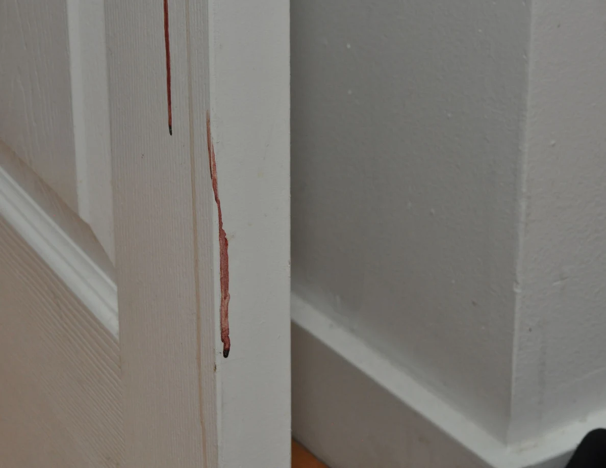 Close view of vertical reddish streaks on a white paneled door.