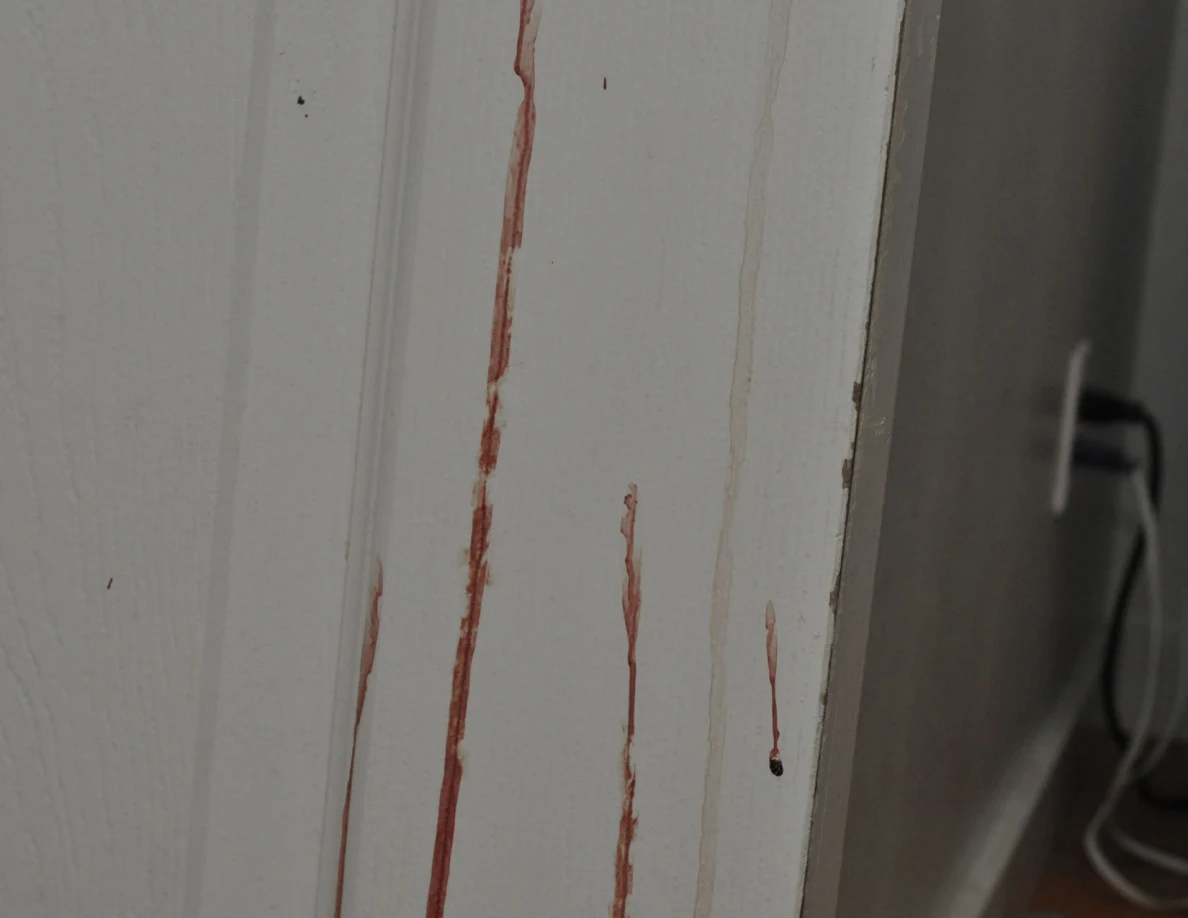 Close view of long reddish streaks on a white door.