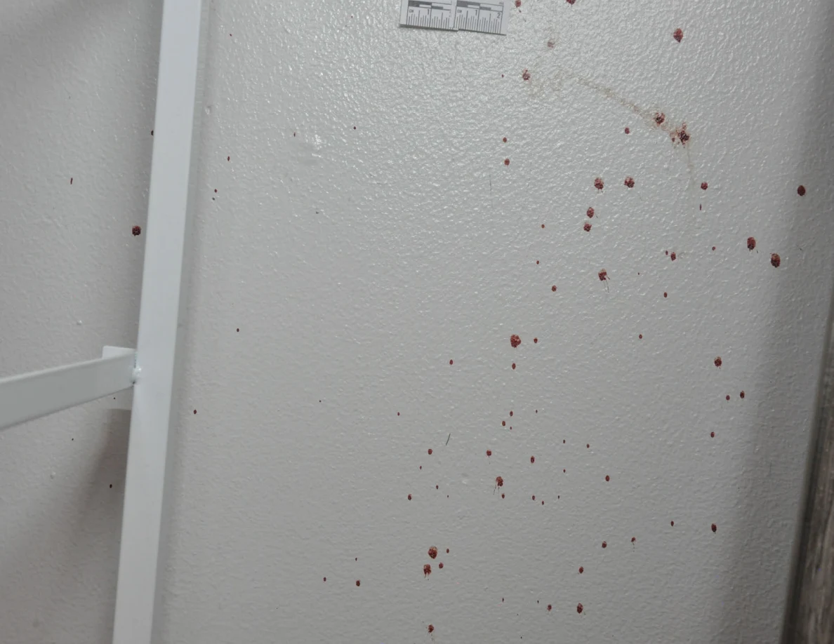 Reddish spots across a white wall beside furniture.