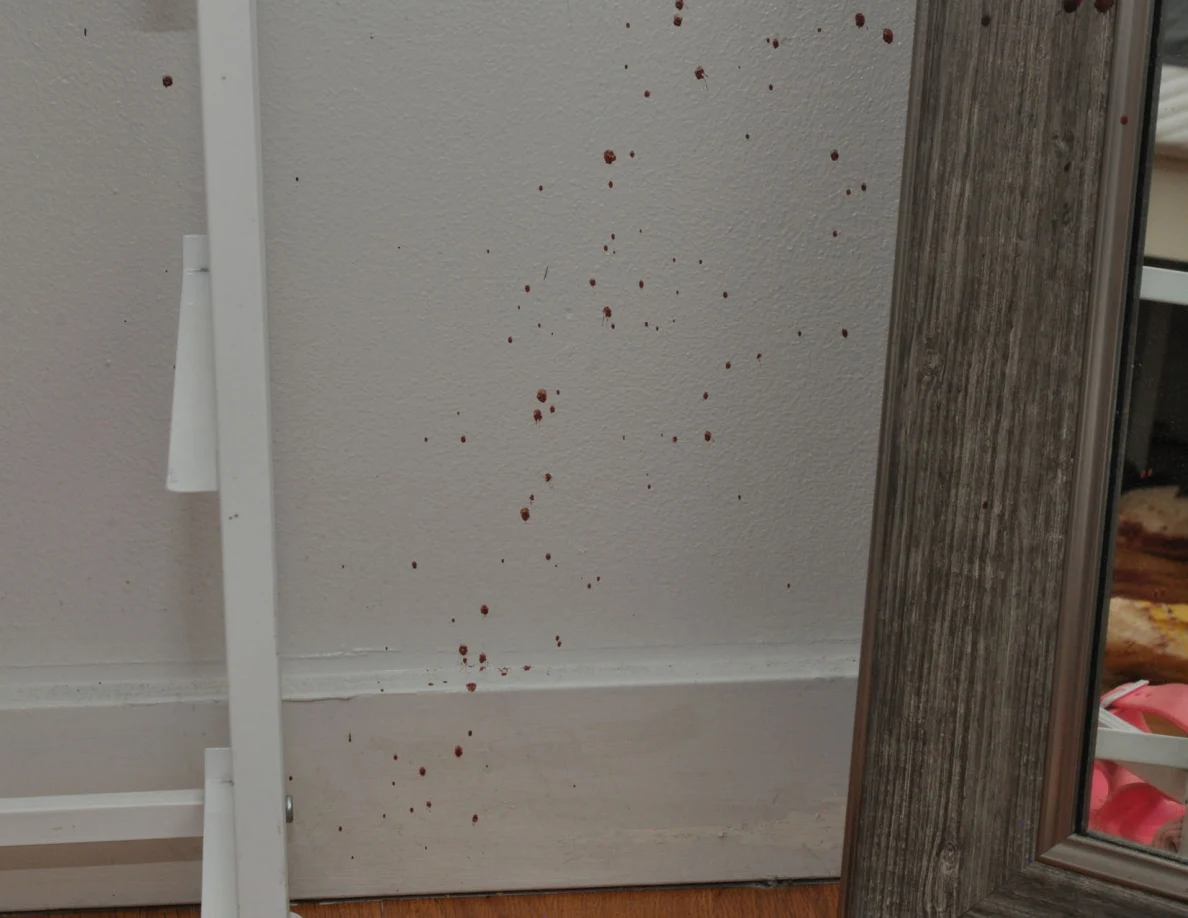 Reddish wall spots beside a mirror and white cabinet frame.