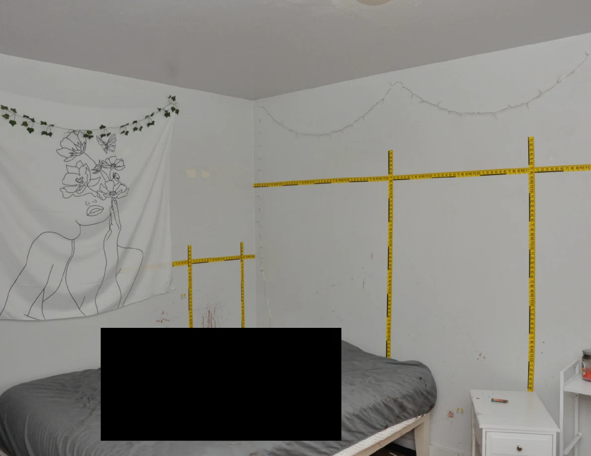Yellow wall scales and floral line-art hanging above a partly redacted bed.