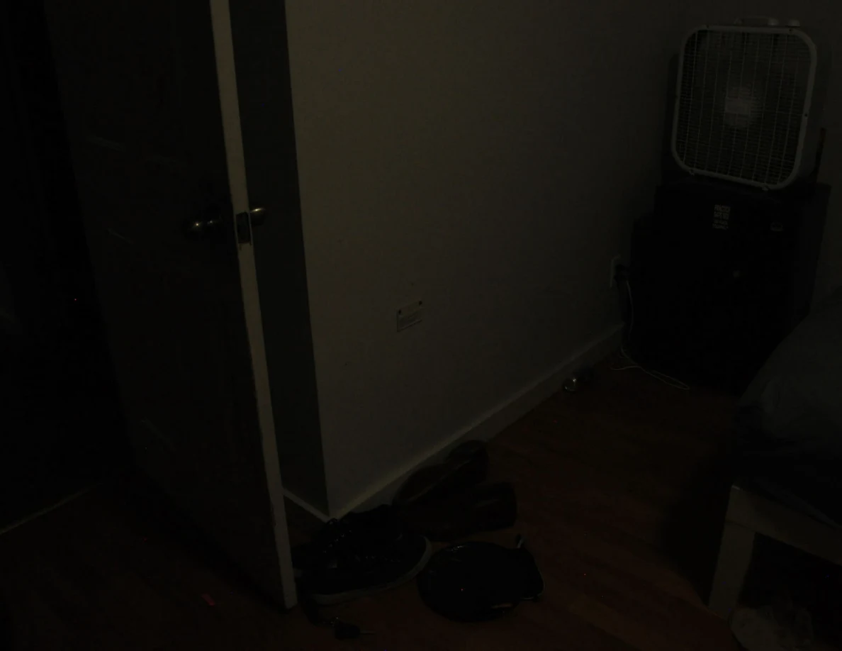 Dim view of an open door, footwear and box fan.