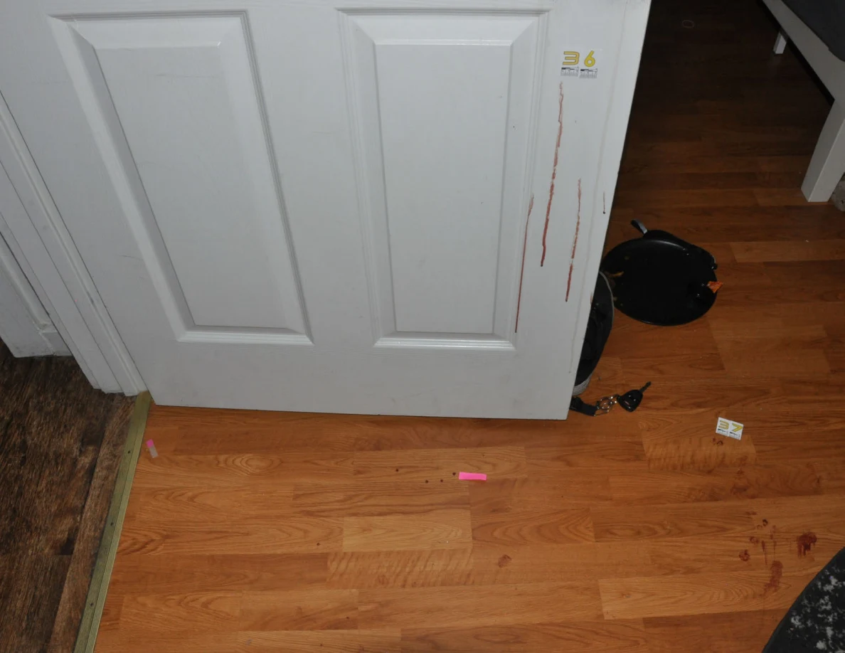 Lower white door with reddish streaks above marked wood-pattern flooring.