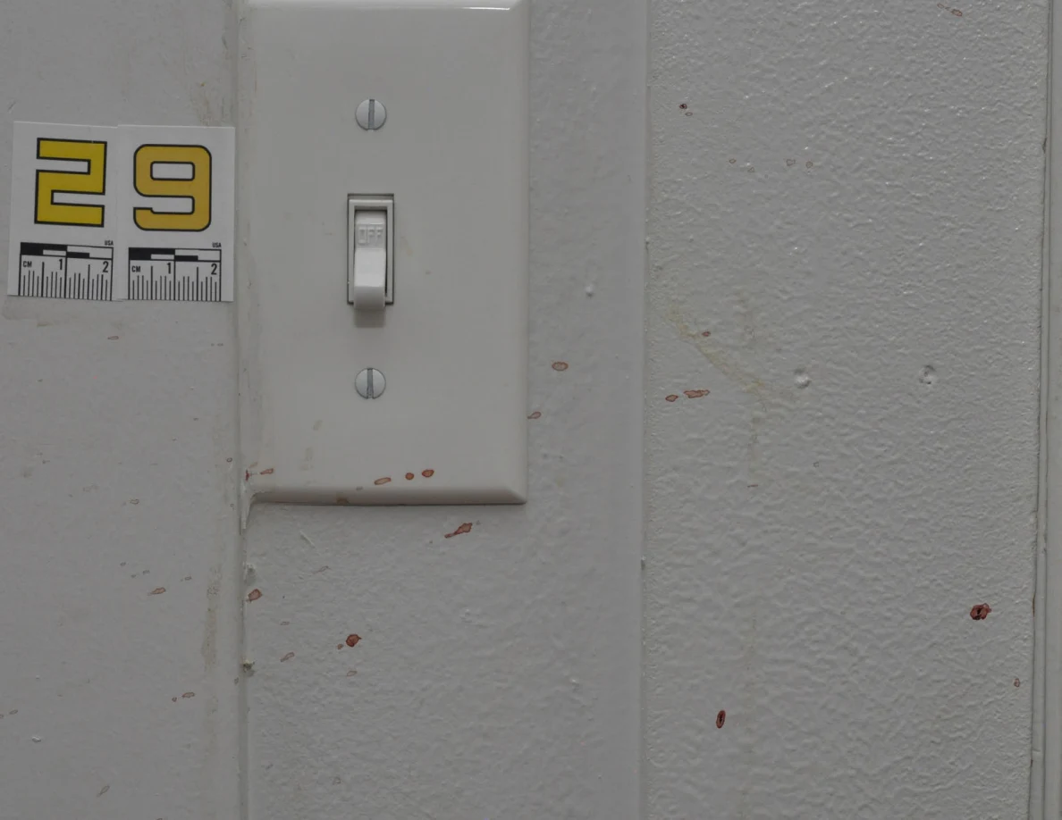 Close view of reddish spots around a white light switch beside scale label 29.