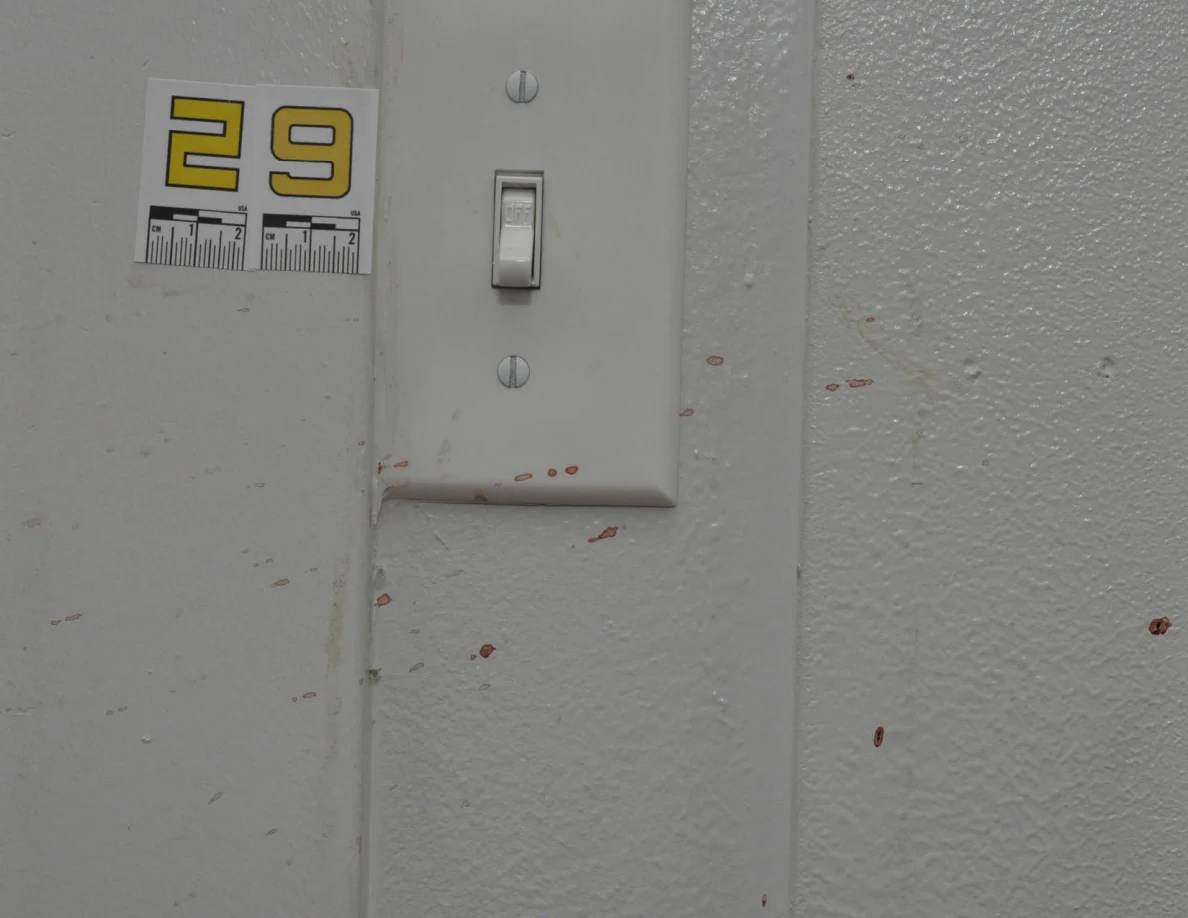 Close view of reddish spots around a white light switch beside scale label 29.