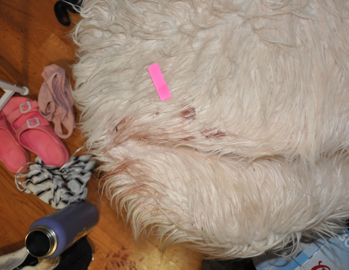 Close view of pink tape and reddish marks on a fluffy chair.