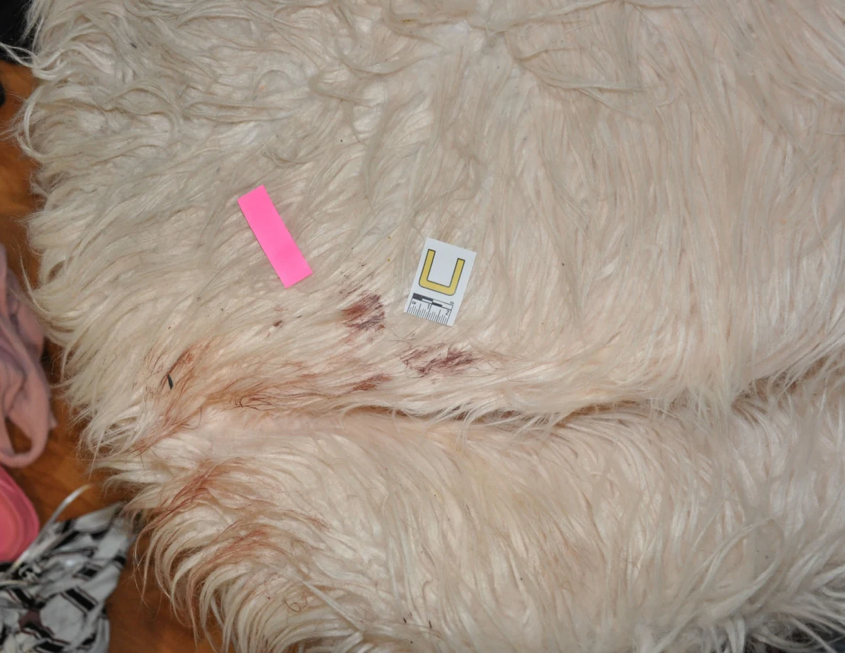 Reddish marks on a fluffy chair beside scale label U and pink tape.