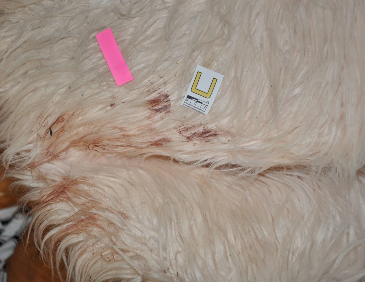 Reddish marks on a fluffy chair beside scale label U and pink tape.