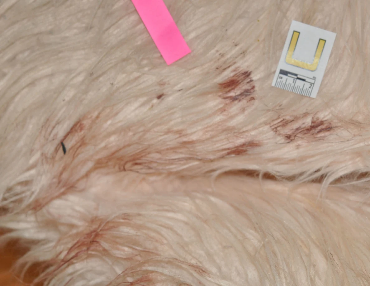 Reddish marks on a fluffy chair beside scale label U and pink tape.