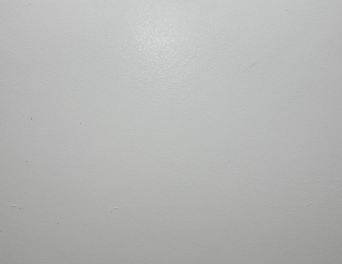 Close view of a pale wall with sparse small marks.