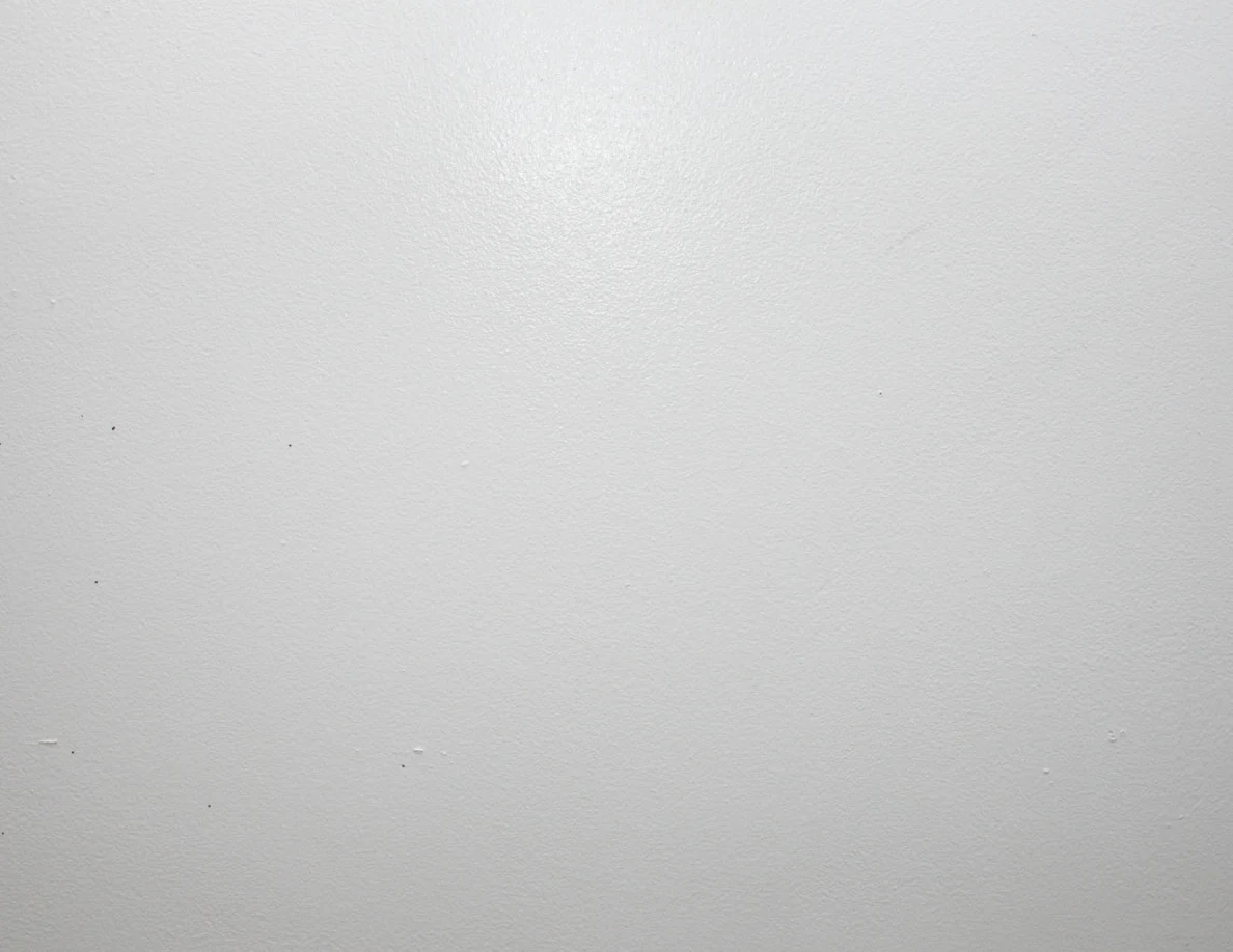 Close view of a pale wall with sparse small marks.
