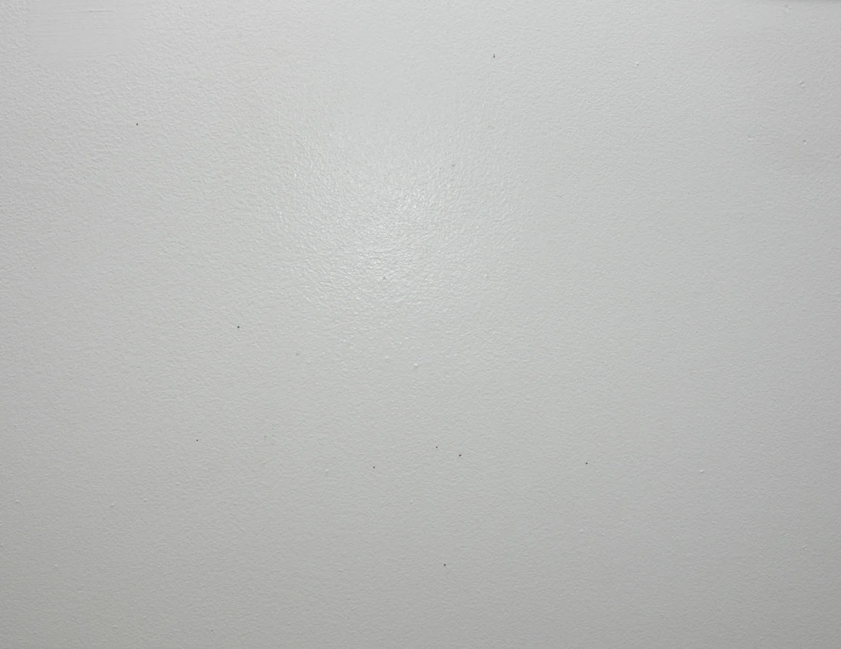 Close view of a pale wall with sparse small marks.