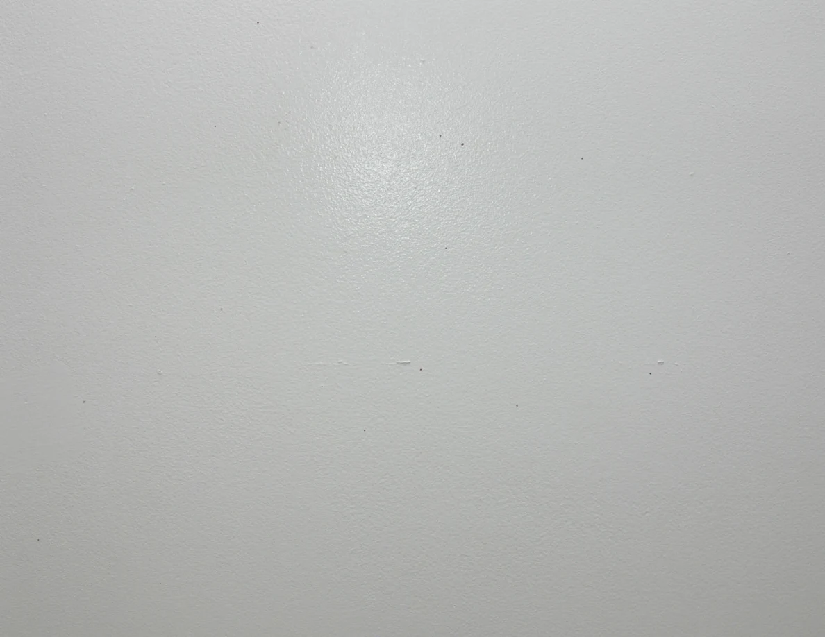 Close view of a pale wall with sparse small marks.