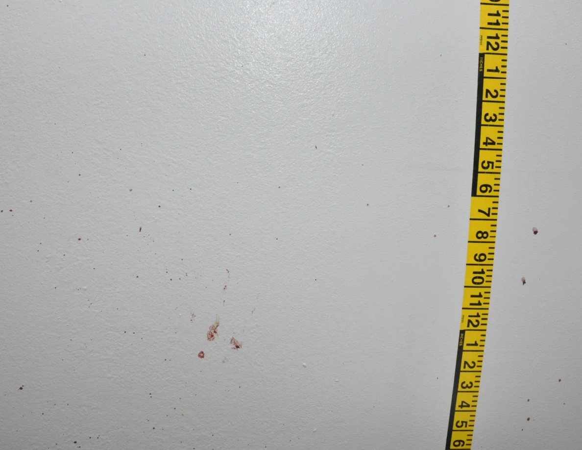 Reddish wall spots beside a vertical yellow measuring tape.