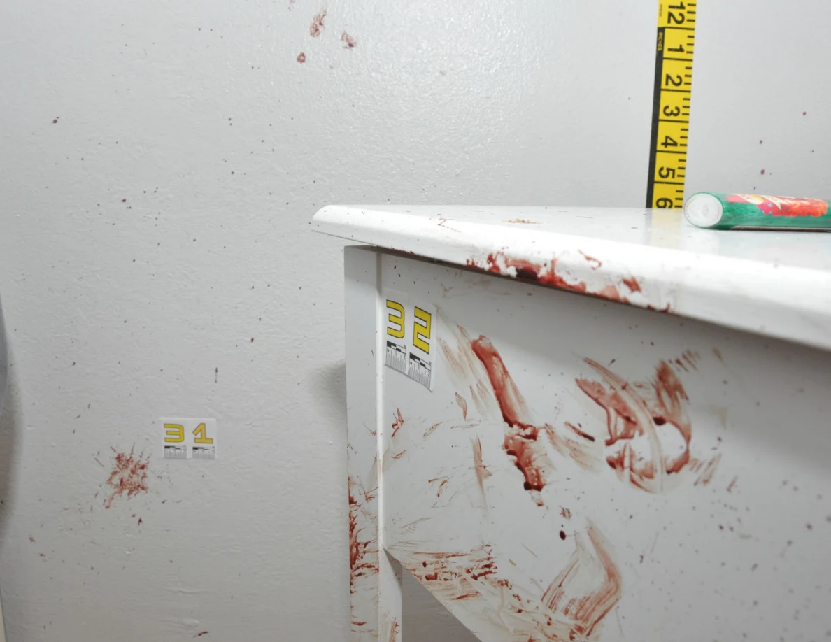 Reddish wall spots and marked white furniture beside labels 31 and 32.