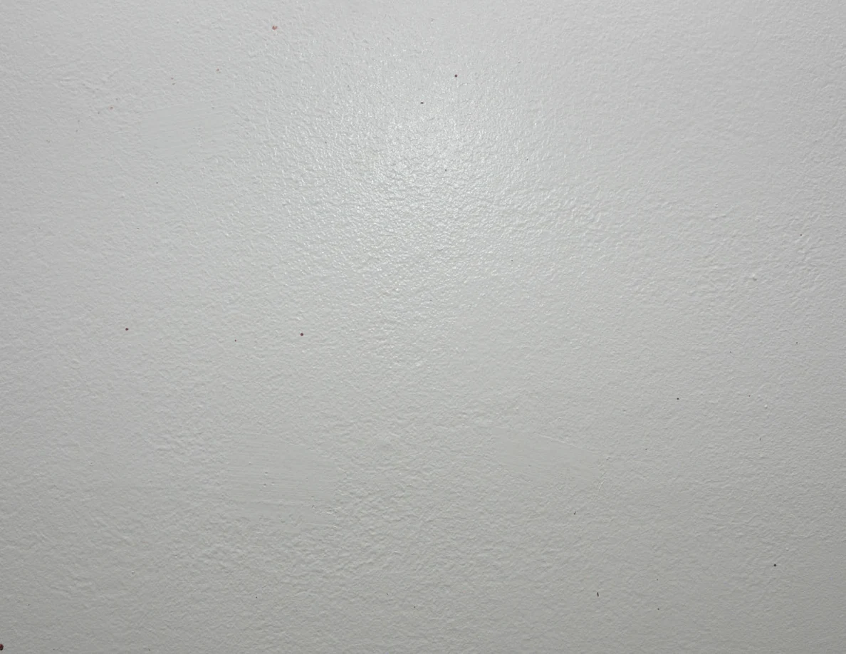 Close view of small reddish spots on a pale wall.