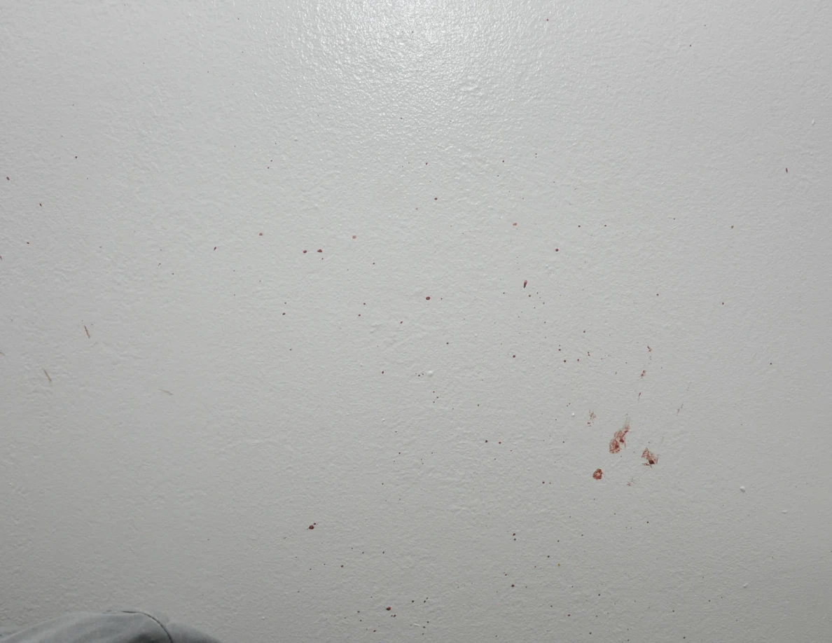 Reddish spots across a pale wall.