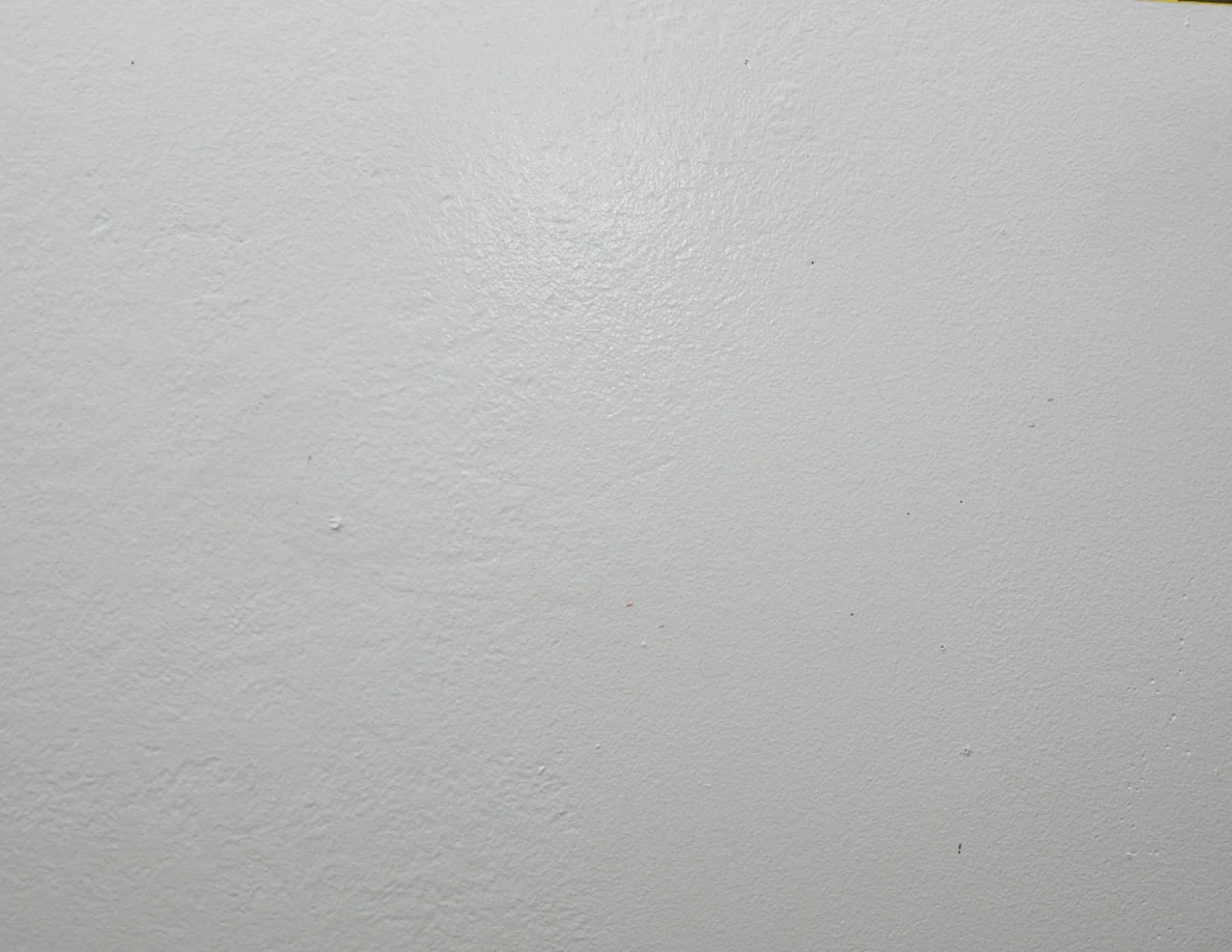 Close view of a pale wall with sparse small marks.