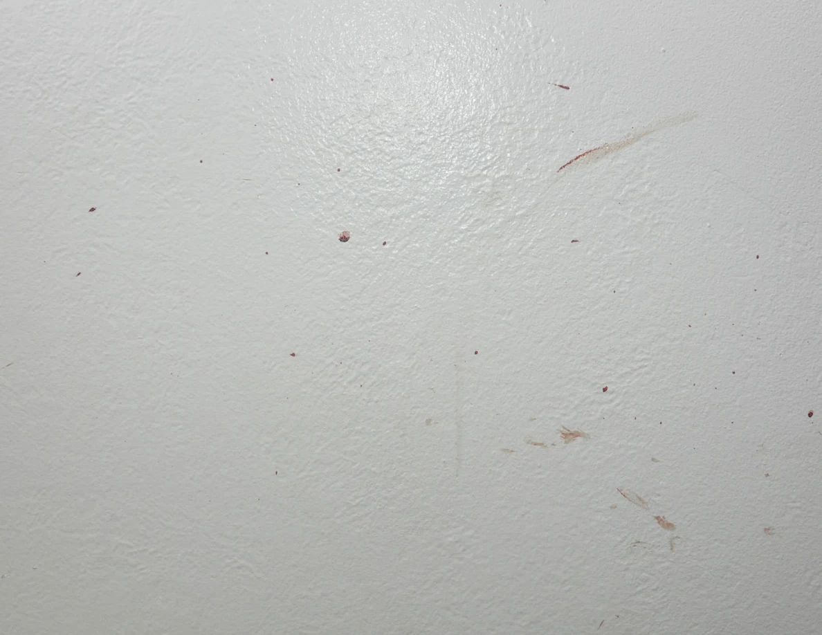 Reddish spots and short smears on a pale wall.
