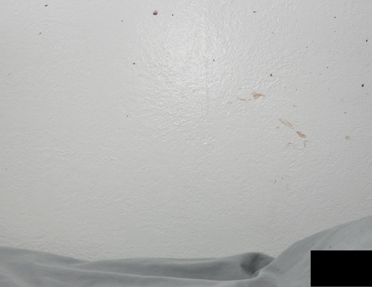 Reddish wall spots and smears above partly redacted bedding.
