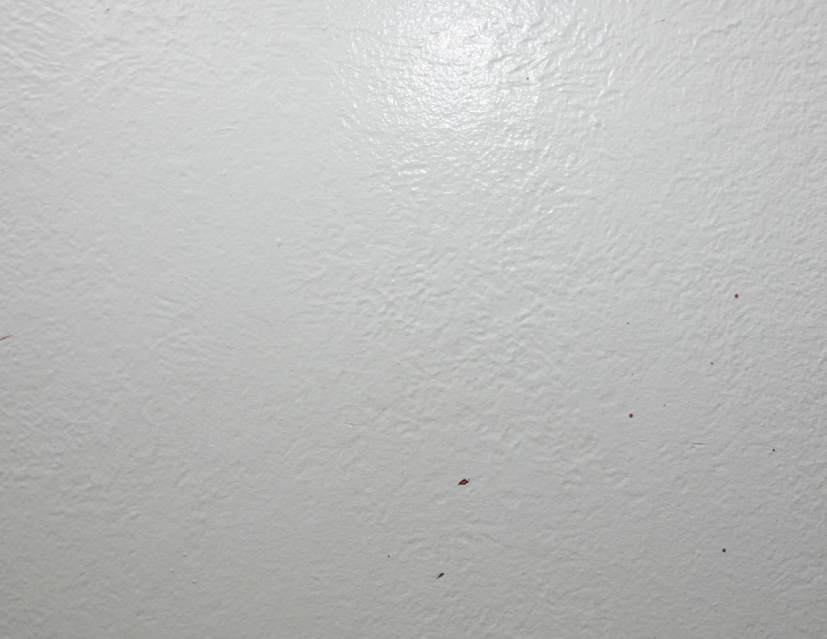 Close view of a pale textured wall with sparse small reddish marks.