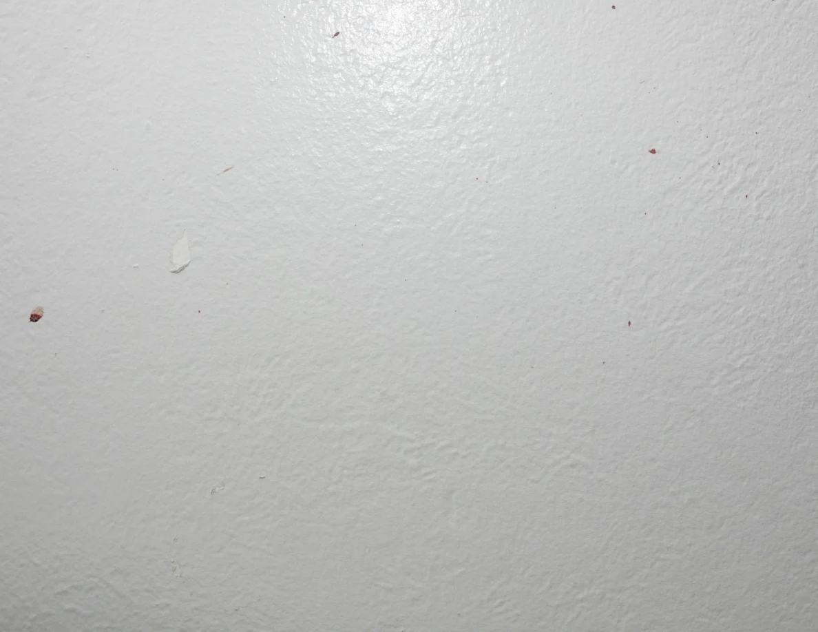 Close view of a pale textured wall with sparse small reddish marks.
