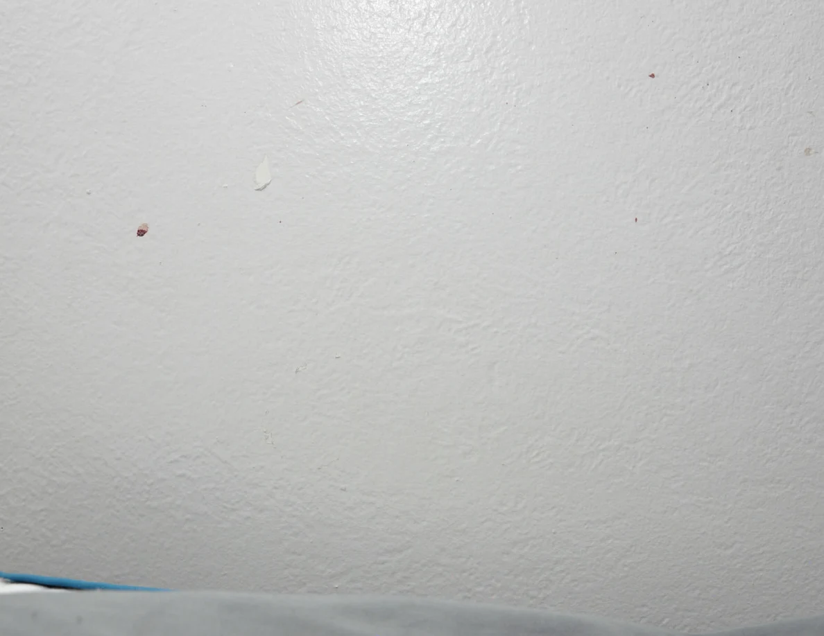 Close view of a pale textured wall with sparse small reddish marks.
