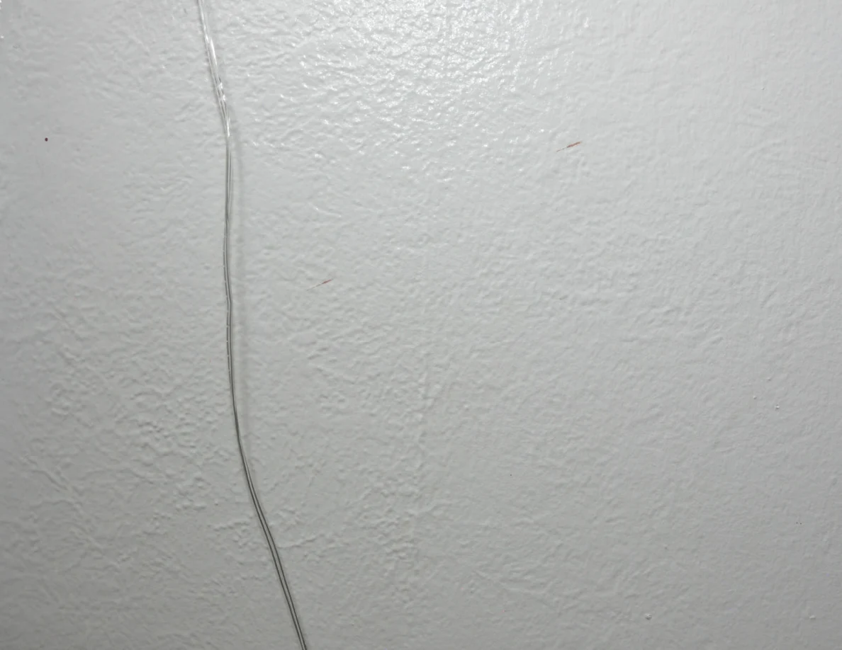 String-light cable against a pale textured wall.