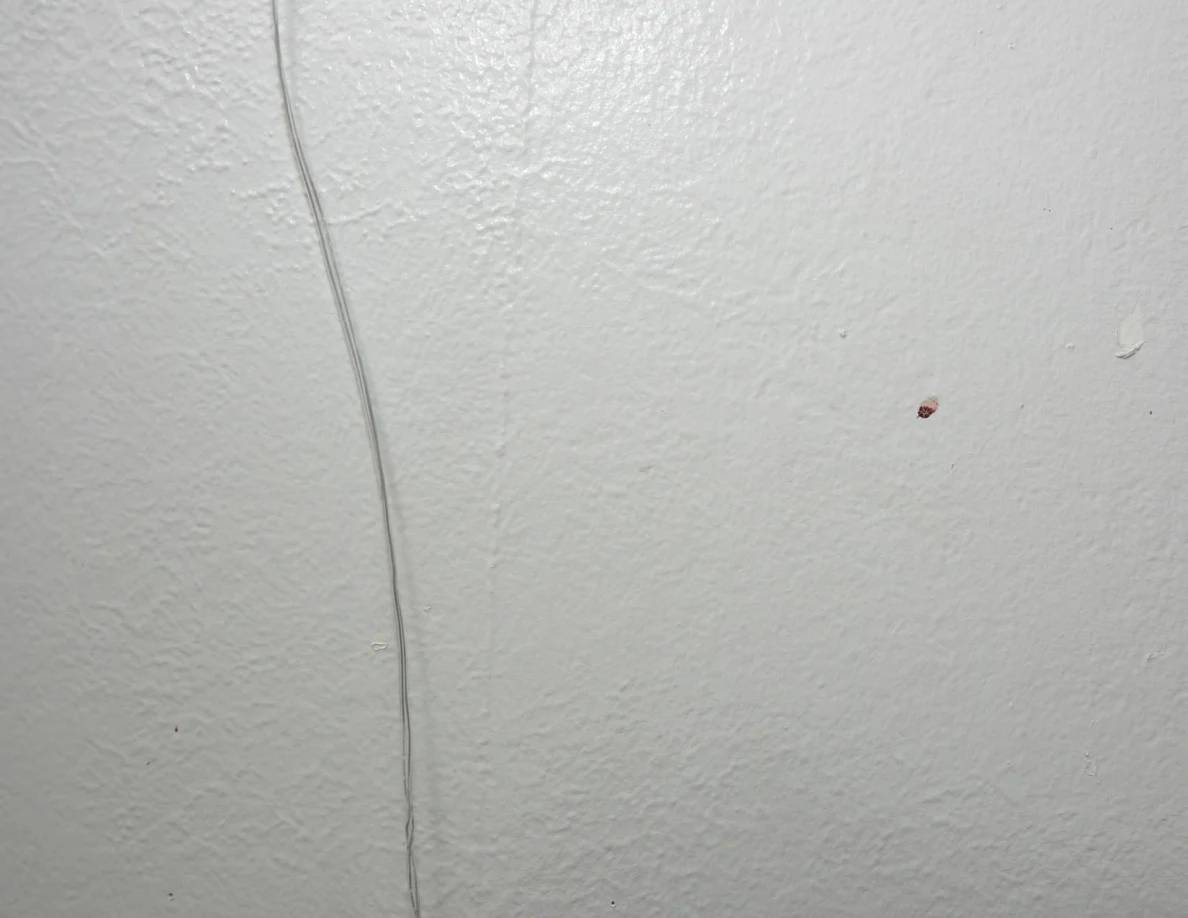 String-light cable against a pale textured wall.
