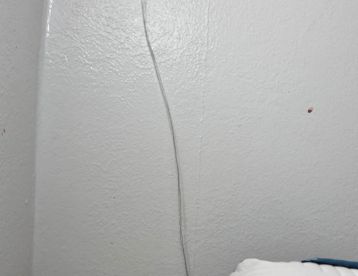 String-light cable against a pale textured wall.