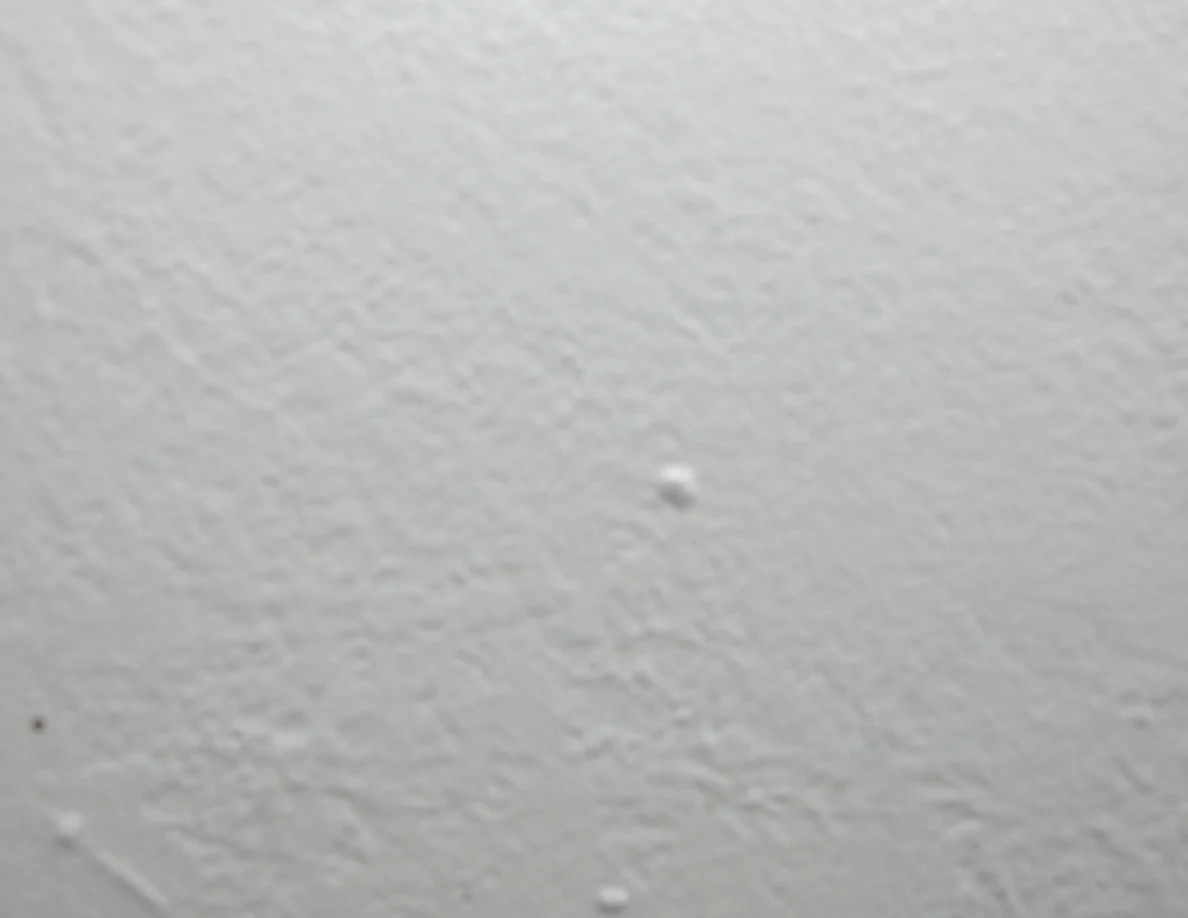 Close view of a pale textured wall with small marks and reddish specks.